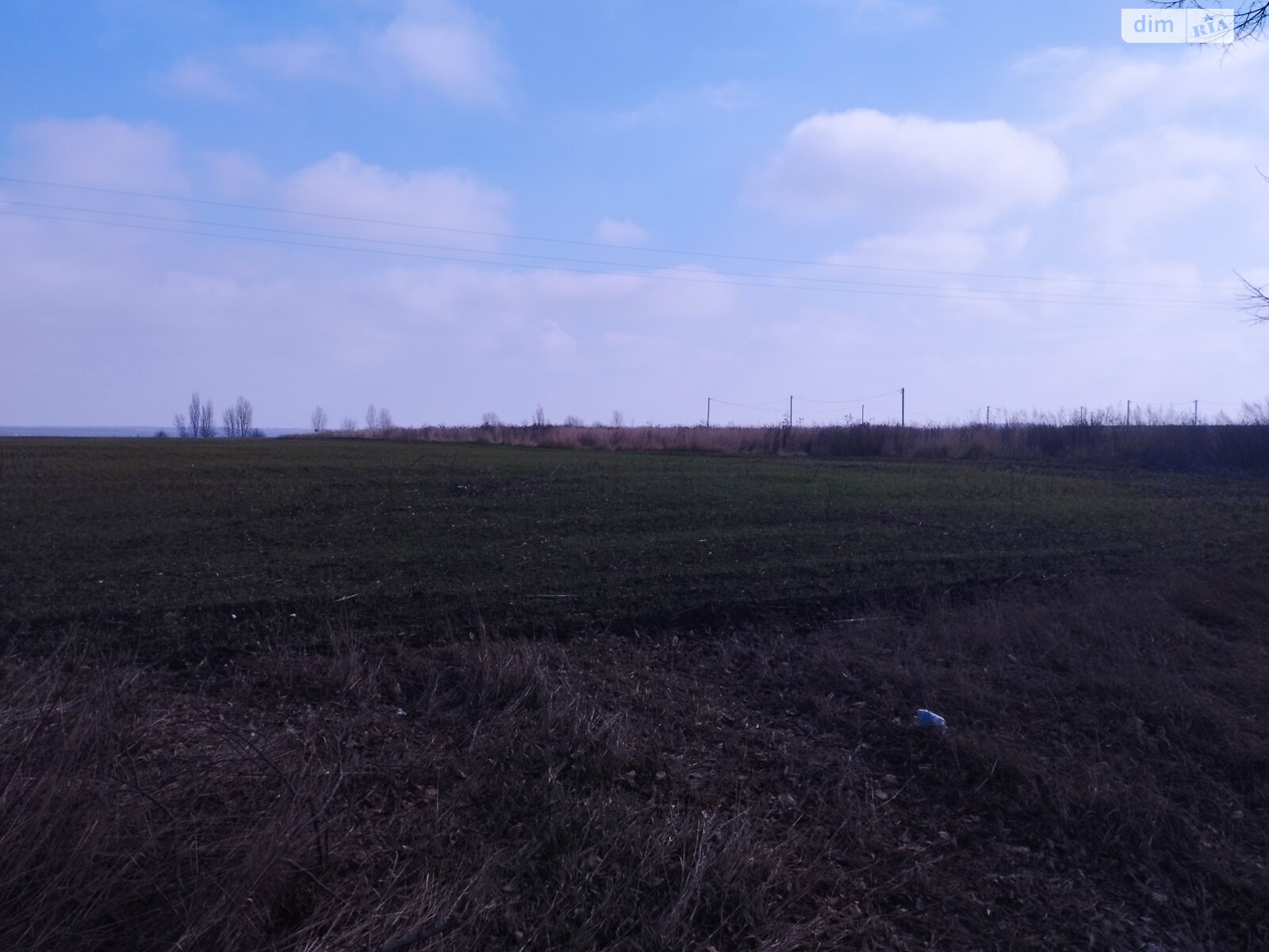 Земля сельскохозяйственного назначения в Белой Церкви, район Таращанский, площадь 89 соток фото 1
