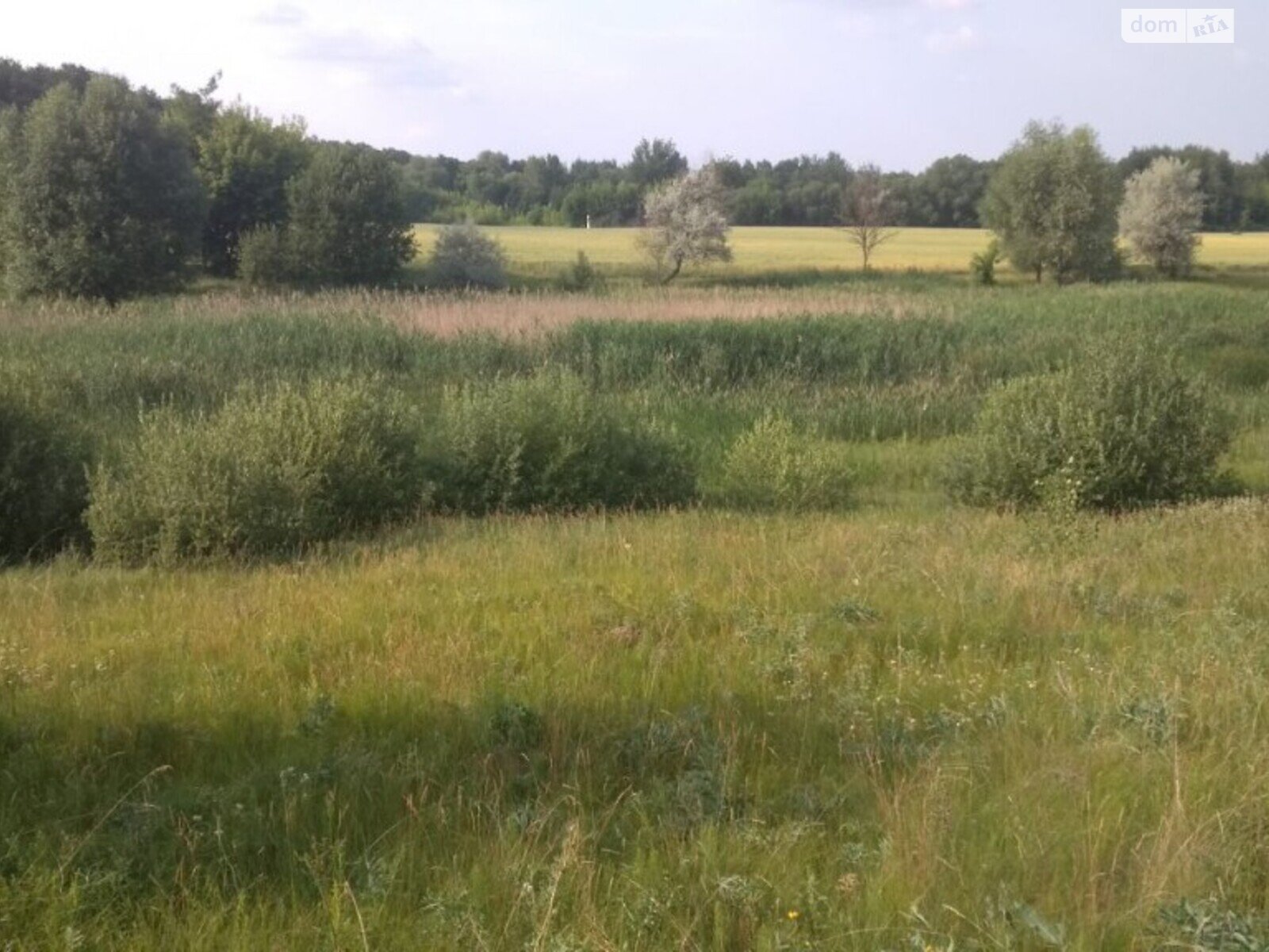 Земельный участок сельскохозяйственного назначения в Трушках, площадь 80 соток фото 1