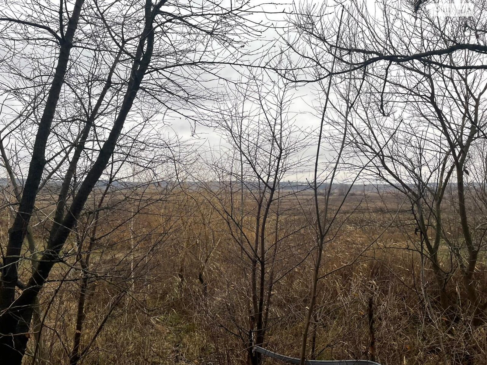 Земельна ділянка сільськогосподарського призначення в Білогородці, площа 178.01 сотки фото 1