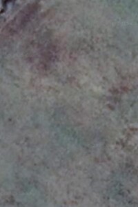 Земельный участок сельскохозяйственного назначения в Белокринице, площадь 0.4017 Га фото 1