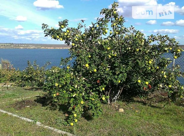 Земля сельскохозяйственного назначения в селе Алтестово, площадь 6.6 сотки фото 1 Земля сельскохозяйственного назначения в селе Алтестово, площадь 6.6 сотки фото 1