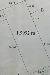 Земля сільськогосподарського призначення в Береговому, район Берегово, площа 1.99 Га фото 2