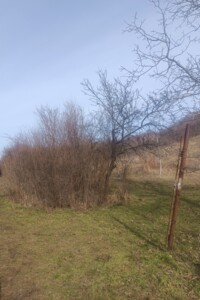 Земля сільськогосподарського призначення в Береговому, район Берегово, площа 0.12 Га фото 2