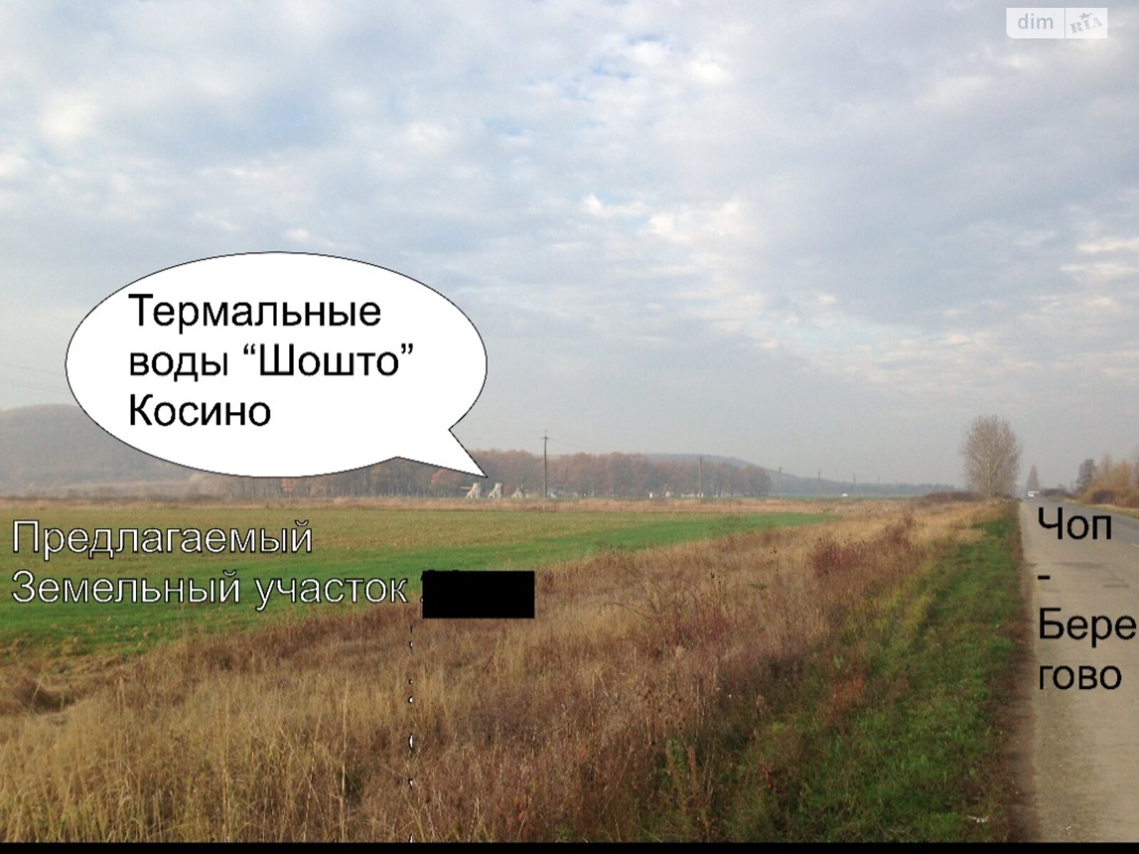 Земельна ділянка сільськогосподарського призначення в Береговому, площа 12 Га фото 1