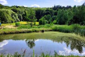 Земельна ділянка сільськогосподарського призначення в Бережани, площа 1 Га фото 1