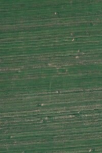 Земельна ділянка сільськогосподарського призначення в Бережинці, площа 5.3544 Га фото 1 Земельна ділянка сільськогосподарського призначення в Бережинці, площа 5.3544 Га фото 1