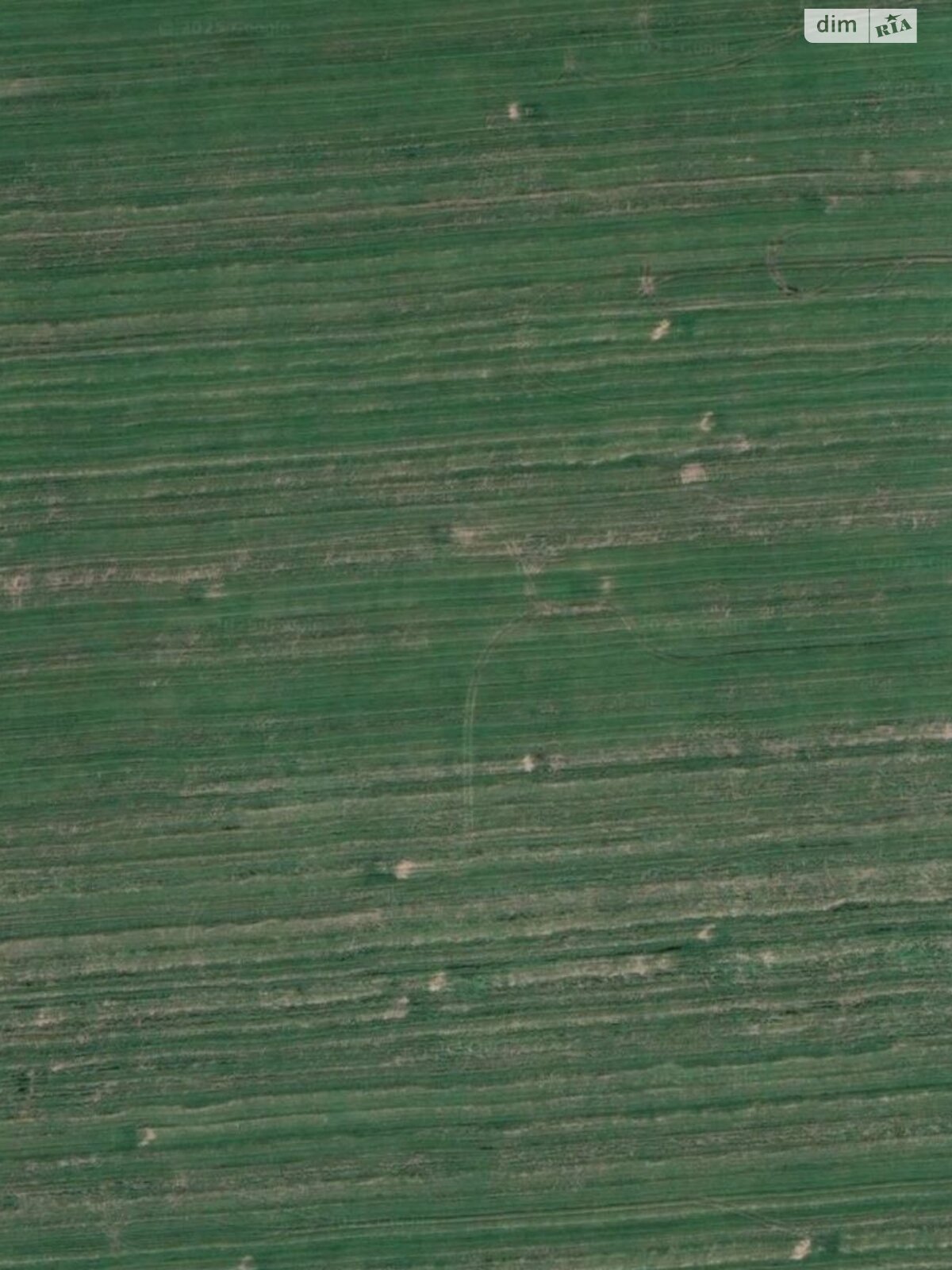 Земельна ділянка сільськогосподарського призначення в Бережинці, площа 5.3544 Га фото 1 Земельна ділянка сільськогосподарського призначення в Бережинці, площа 5.3544 Га фото 1