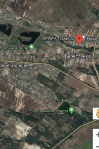 Земельна ділянка сільськогосподарського призначення в Берестянці, площа 55.09 сотки фото 2