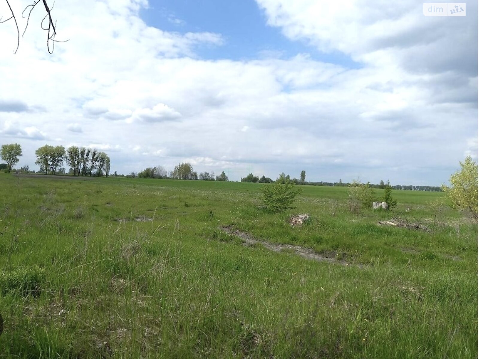 Земельный участок сельскохозяйственного назначения в Берестянке, площадь 55 соток фото 1