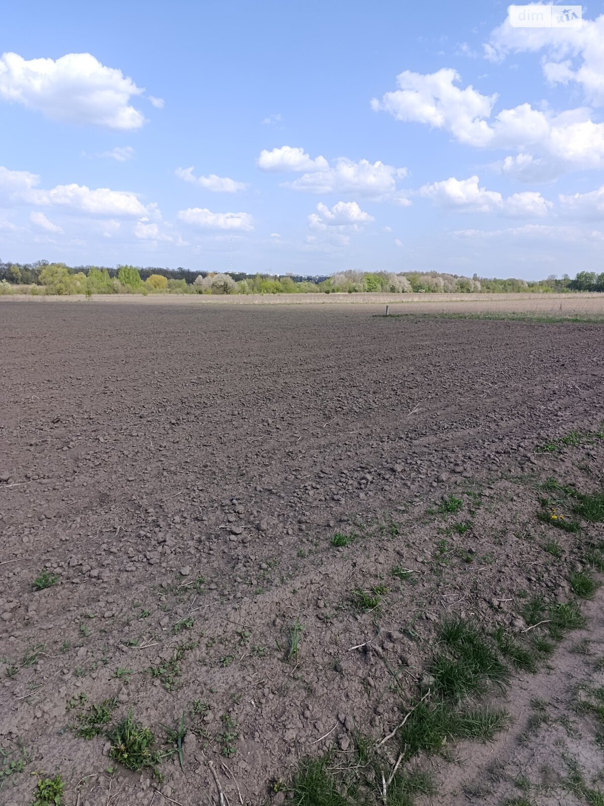 Земельна ділянка сільськогосподарського призначення в Березині, площа 70 соток фото 1 Земельна ділянка сільськогосподарського призначення в Березині, площа 70 соток фото 1