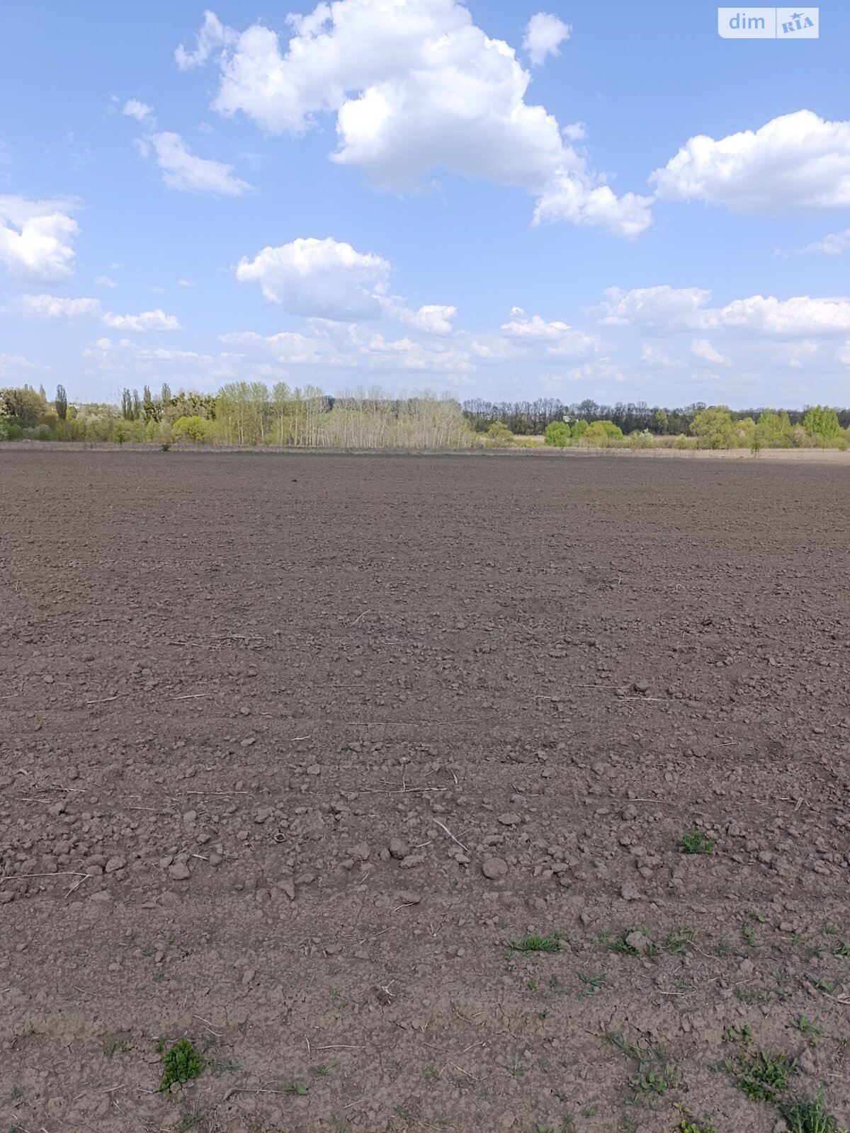 Земельна ділянка сільськогосподарського призначення в Березині, площа 70 соток фото 1 Земельна ділянка сільськогосподарського призначення в Березині, площа 70 соток фото 1