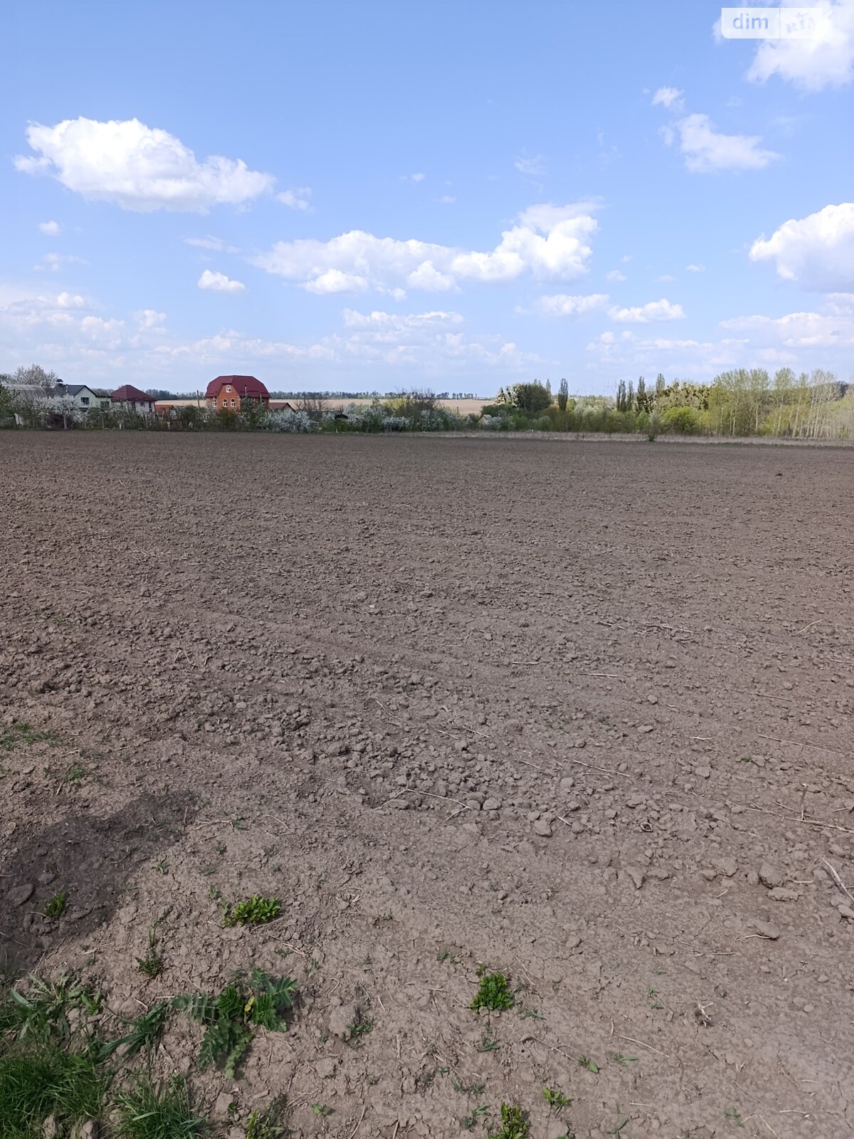 Земельна ділянка сільськогосподарського призначення в Березині, площа 70 соток фото 1 Земельна ділянка сільськогосподарського призначення в Березині, площа 70 соток фото 1