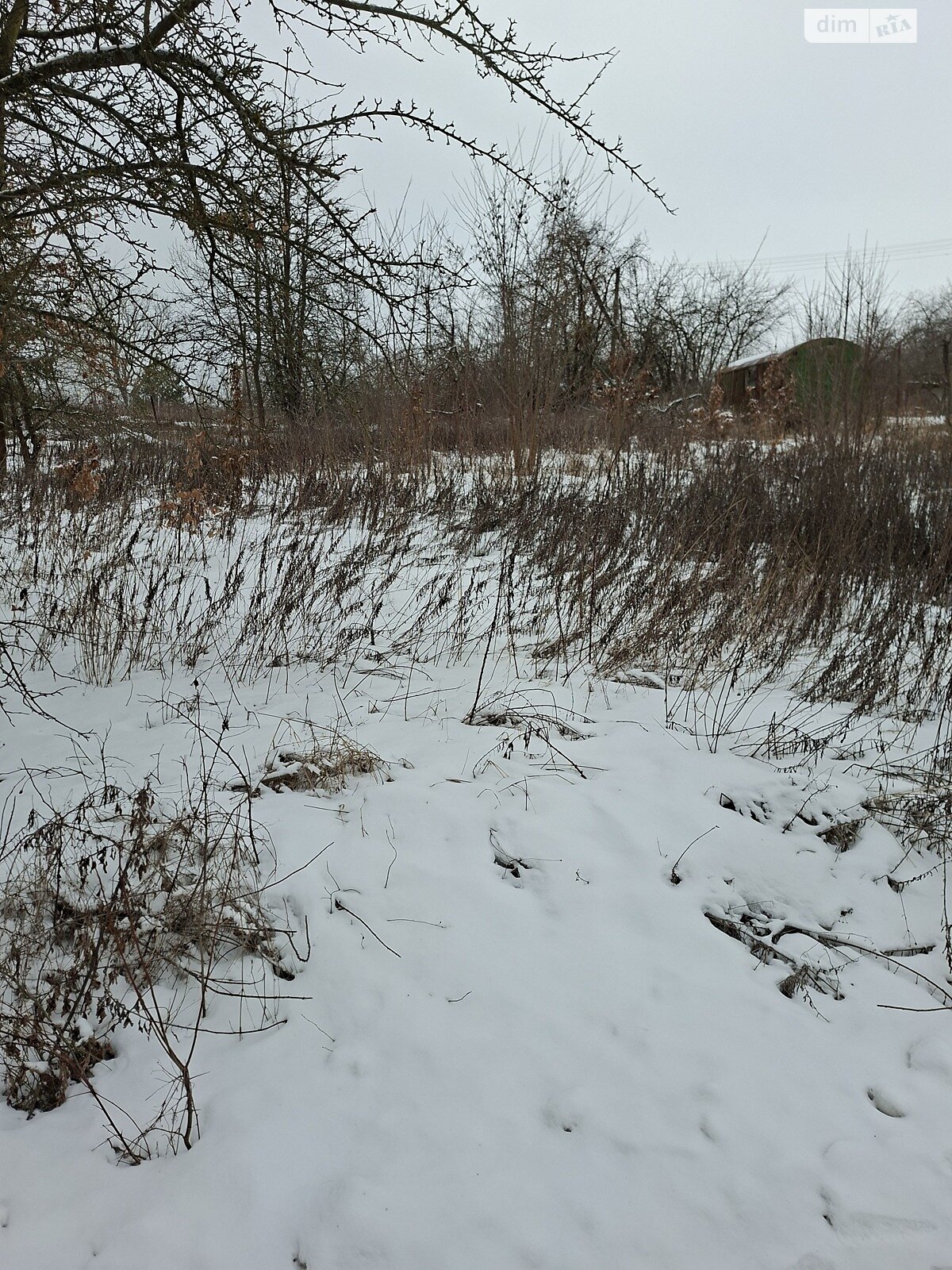 Земельный участок сельскохозяйственного назначения в Березиной, площадь 5 соток фото 1