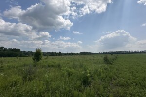 Земельный участок сельскохозяйственного назначения в Березиной, площадь 18 соток фото 2