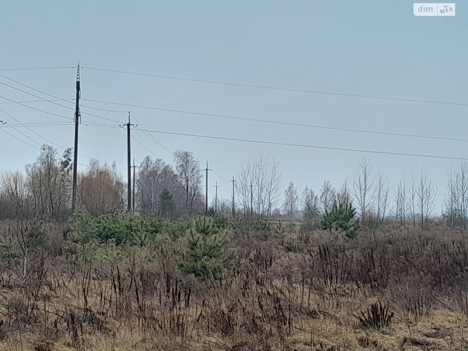 Земля сільськогосподарського призначення в Березному, район Березне, площа 1.4158 Га фото 1