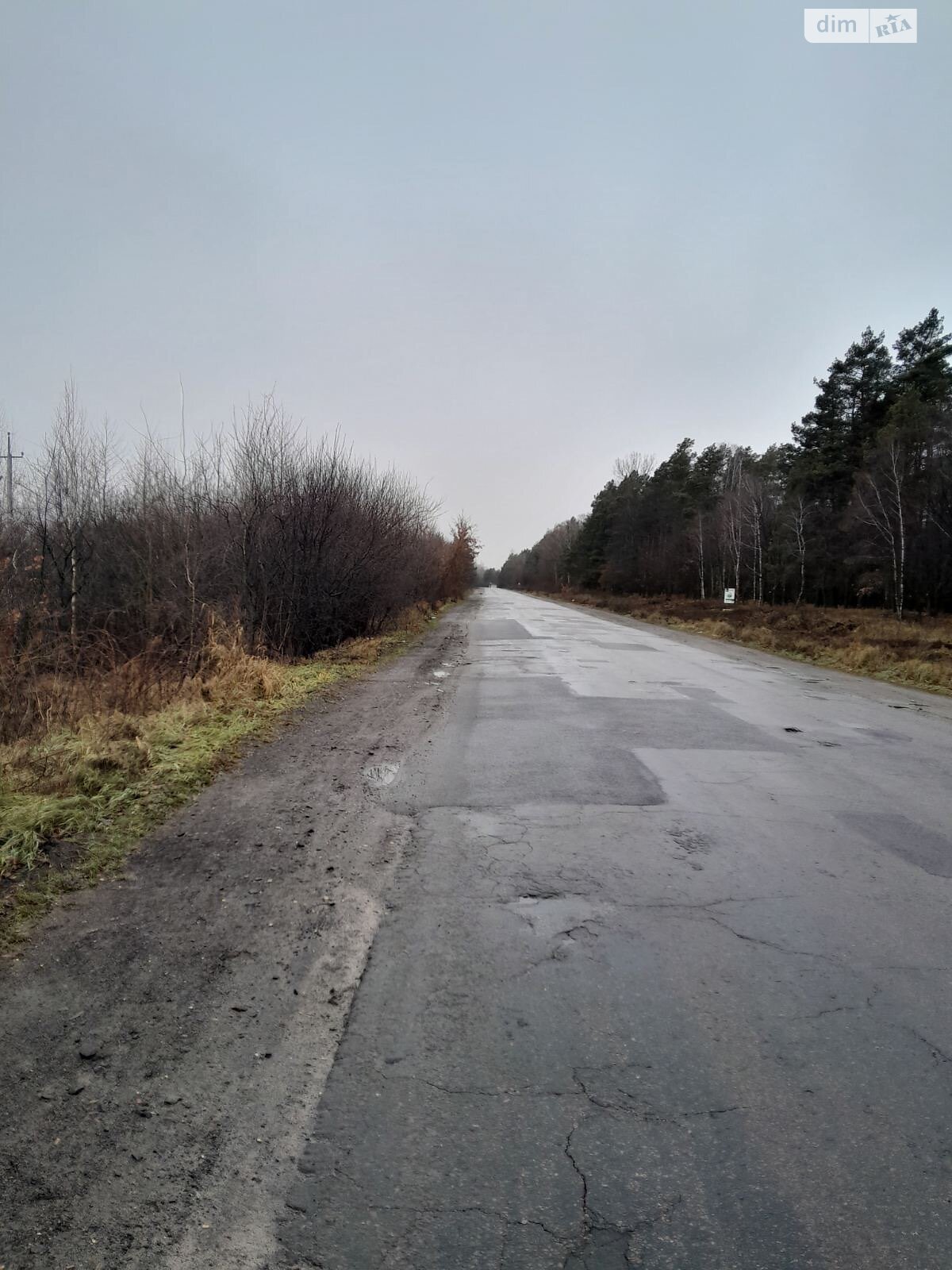 Земля сільськогосподарського призначення в Березному, район Березне, площа 1.4158 Га фото 1