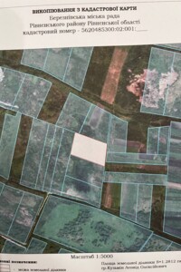 Земля сельскохозяйственного назначения в Березно, район Березно, площадь 1.2812 Га фото 1
