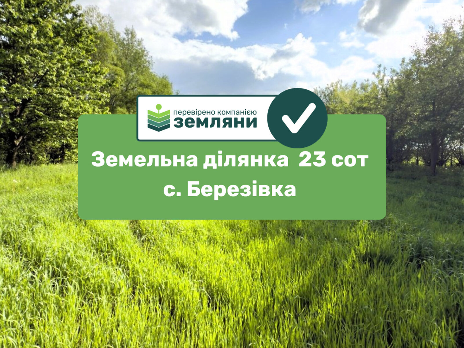 Земельный участок сельскохозяйственного назначения в Березовке, площадь 23 сотки фото 1 Земельный участок сельскохозяйственного назначения в Березовке, площадь 23 сотки фото 1