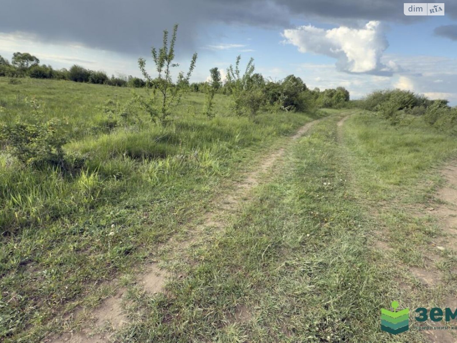Земельна ділянка сільськогосподарського призначення в Березівці, площа 10 соток фото 1 Земельна ділянка сільськогосподарського призначення в Березівці, площа 10 соток фото 1