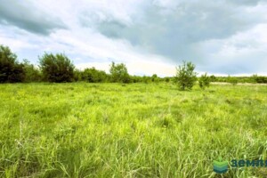 Земельна ділянка сільськогосподарського призначення в Березівці, площа 20.02 сотки фото 2