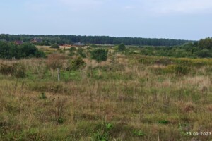 Земельна ділянка сільськогосподарського призначення в Блищиводи, площа 10 соток фото 2