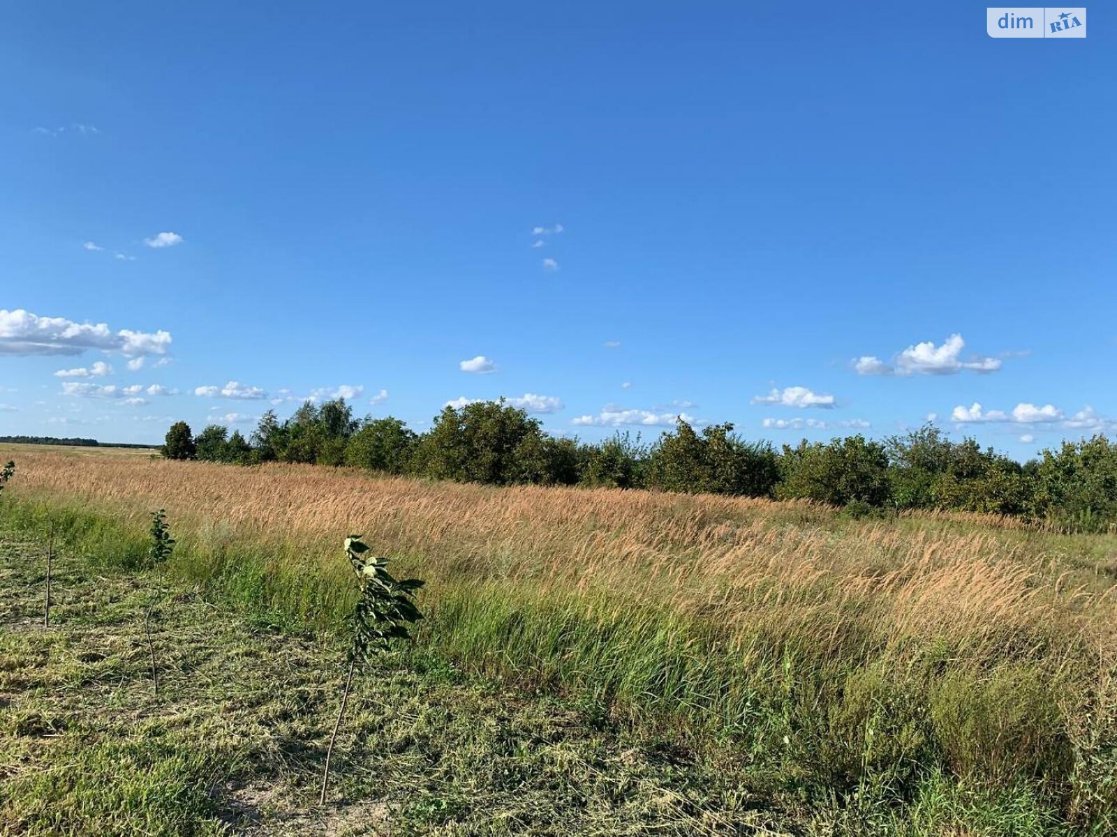Земельный участок сельскохозяйственного назначения в Блиставице, площадь 20 соток фото 1 Земельный участок сельскохозяйственного назначения в Блиставице, площадь 20 соток фото 1