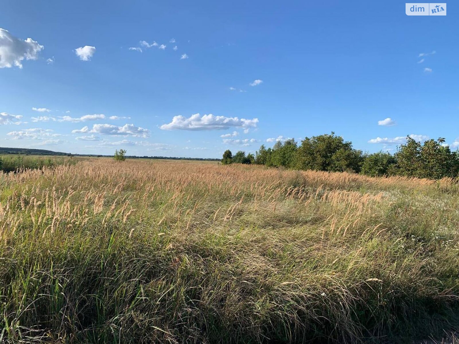 Земельный участок сельскохозяйственного назначения в Блиставице, площадь 20 соток фото 1 Земельный участок сельскохозяйственного назначения в Блиставице, площадь 20 соток фото 1