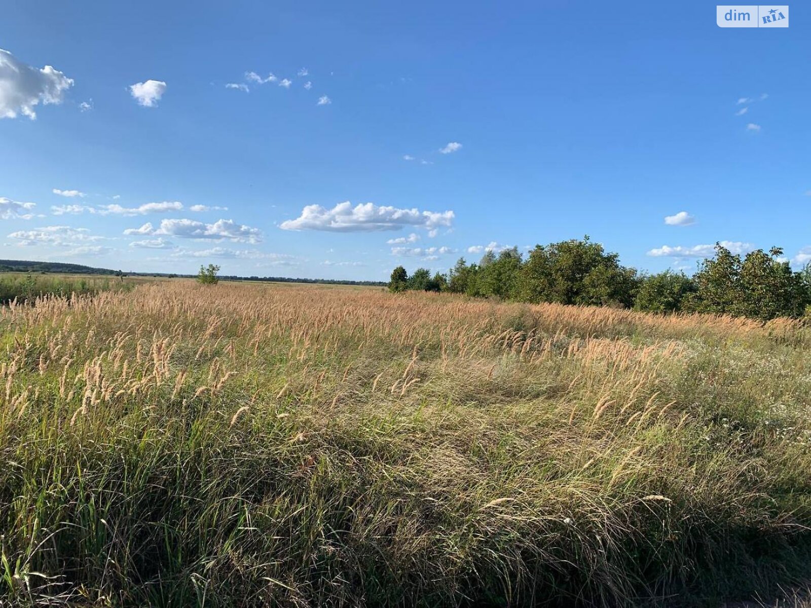 Земельный участок сельскохозяйственного назначения в Блиставице, площадь 20 соток фото 1 Земельный участок сельскохозяйственного назначения в Блиставице, площадь 20 соток фото 1