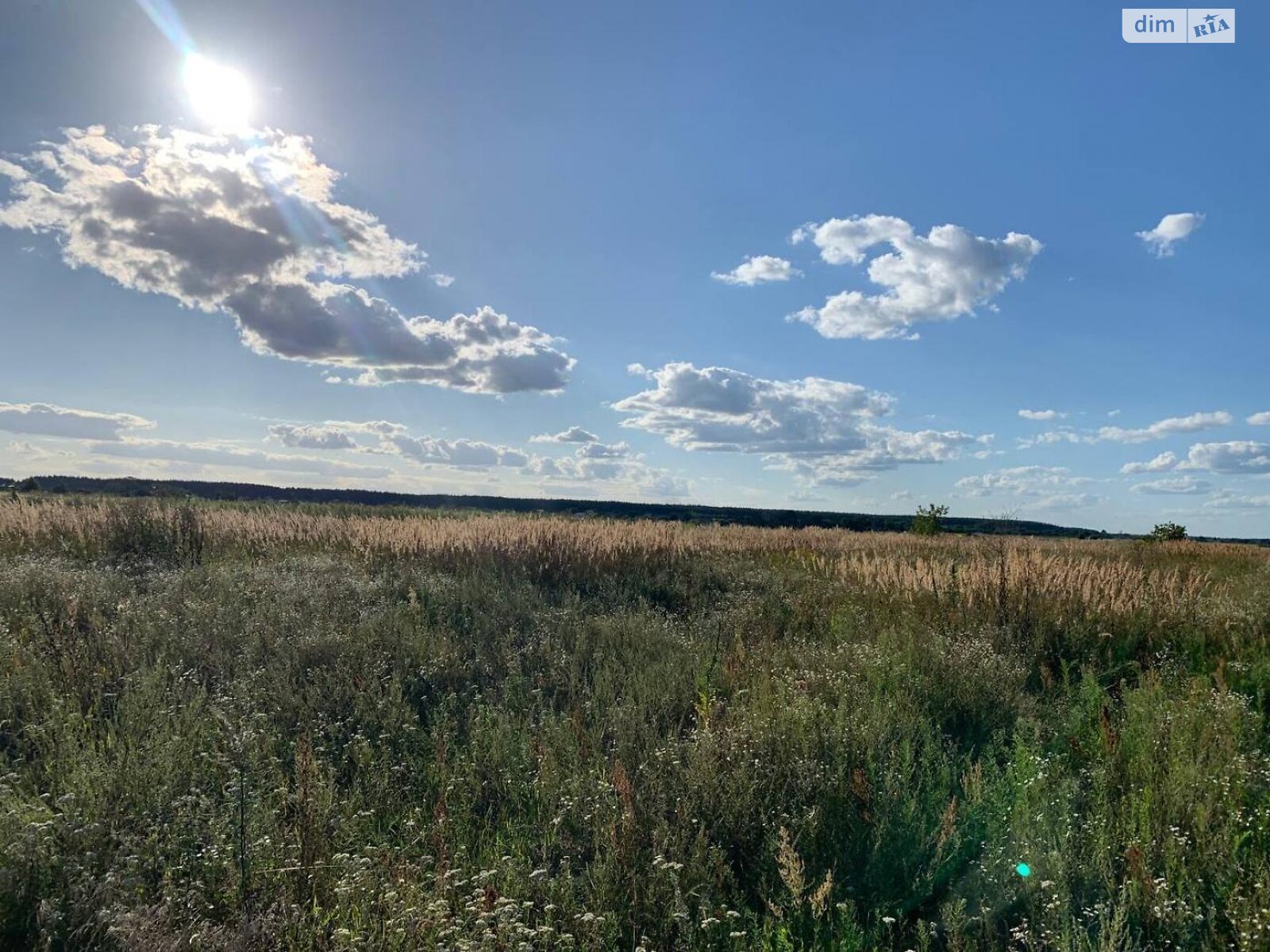 Земельный участок сельскохозяйственного назначения в Блиставице, площадь 20 соток фото 1 Земельный участок сельскохозяйственного назначения в Блиставице, площадь 20 соток фото 1