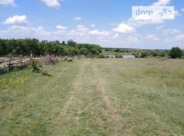 Земля сельскохозяйственного назначения в селе Куйбышево, площадь 1 Га фото 1 Земля сельскохозяйственного назначения в селе Куйбышево, площадь 1 Га фото 1