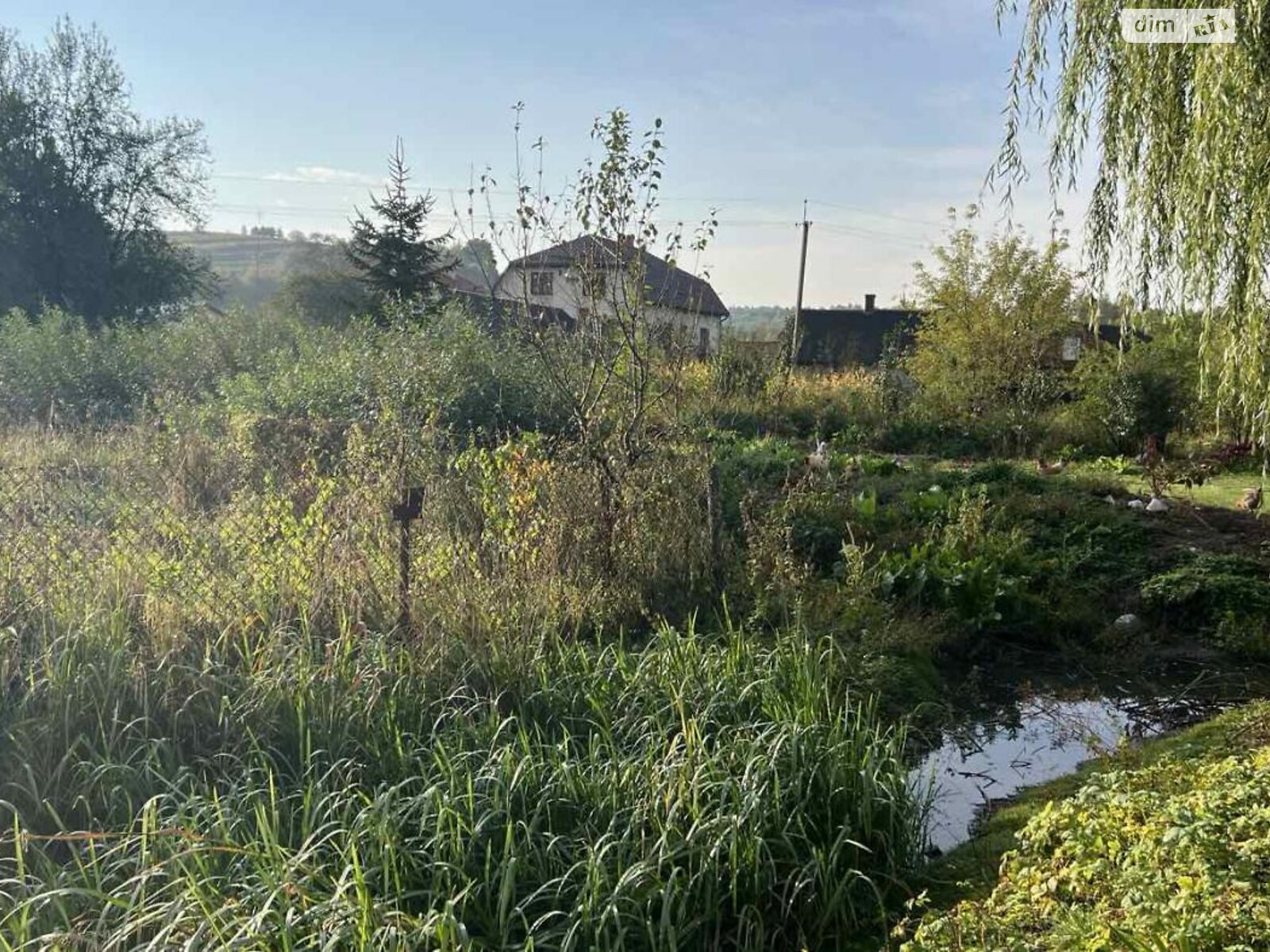 Земельный участок сельскохозяйственного назначения в Бобрке, площадь 16 соток фото 1 Земельный участок сельскохозяйственного назначения в Бобрке, площадь 16 соток фото 1
