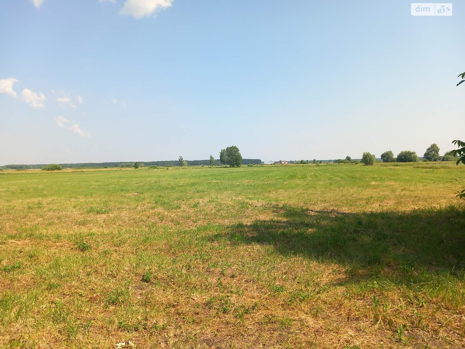 Земельный участок сельскохозяйственного назначения в Боденьках, площадь 50 соток фото 1