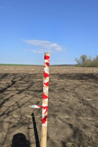 Земельный участок сельскохозяйственного назначения в Богатырке, площадь 156 соток фото 2