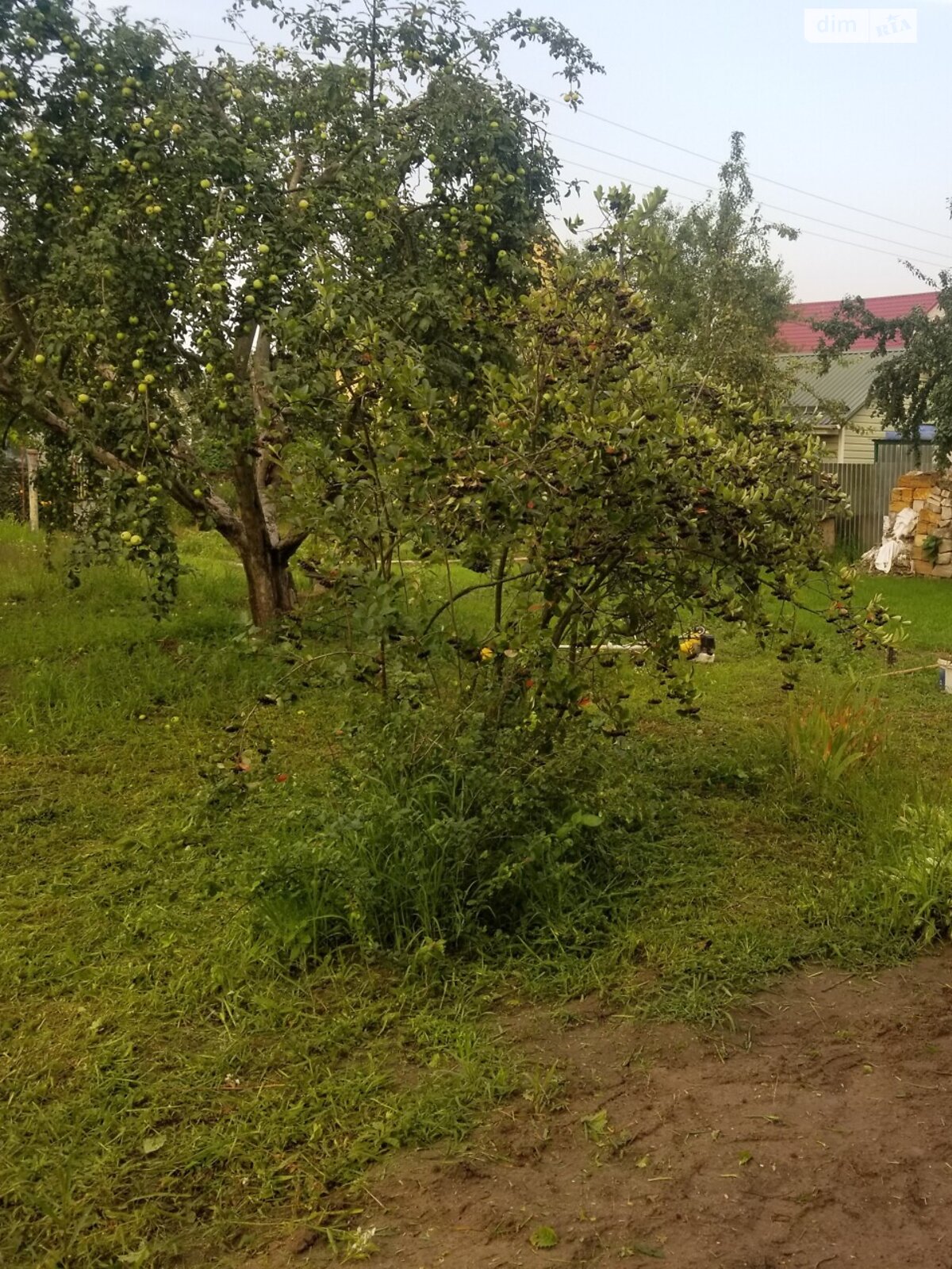 Земельна ділянка сільськогосподарського призначення в Богданівці, площа 6.15 сотки фото 1