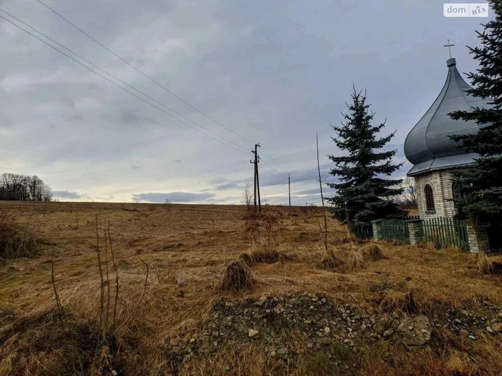 Земля сельскохозяйственного назначения в Богородчанах, район Богородчаны, площадь 50 соток фото 1