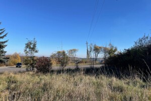 Земельный участок сельскохозяйственного назначения в Богородчанах, площадь 50 соток фото 2