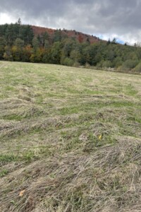 Земельный участок сельскохозяйственного назначения в Богородчанах, площадь 73 сотки фото 2 Земельный участок сельскохозяйственного назначения в Богородчанах, площадь 73 сотки фото 2