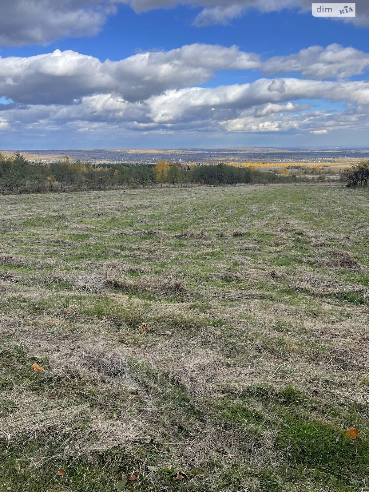 Земельный участок сельскохозяйственного назначения в Богородчанах, площадь 73 сотки фото 1 Земельный участок сельскохозяйственного назначения в Богородчанах, площадь 73 сотки фото 1