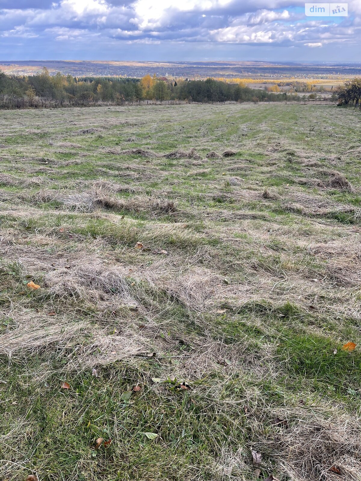 Земельный участок сельскохозяйственного назначения в Богородчанах, площадь 73 сотки фото 1 Земельный участок сельскохозяйственного назначения в Богородчанах, площадь 73 сотки фото 1