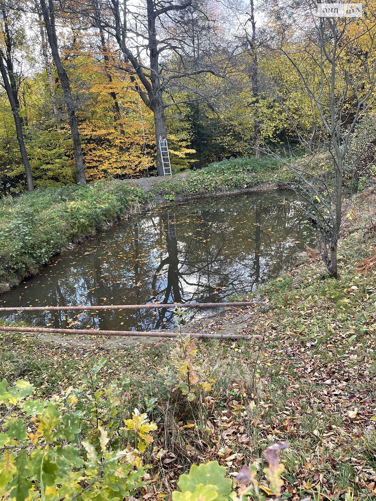 Земельный участок сельскохозяйственного назначения в Богородчанах, площадь 73 сотки фото 1 Земельный участок сельскохозяйственного назначения в Богородчанах, площадь 73 сотки фото 1