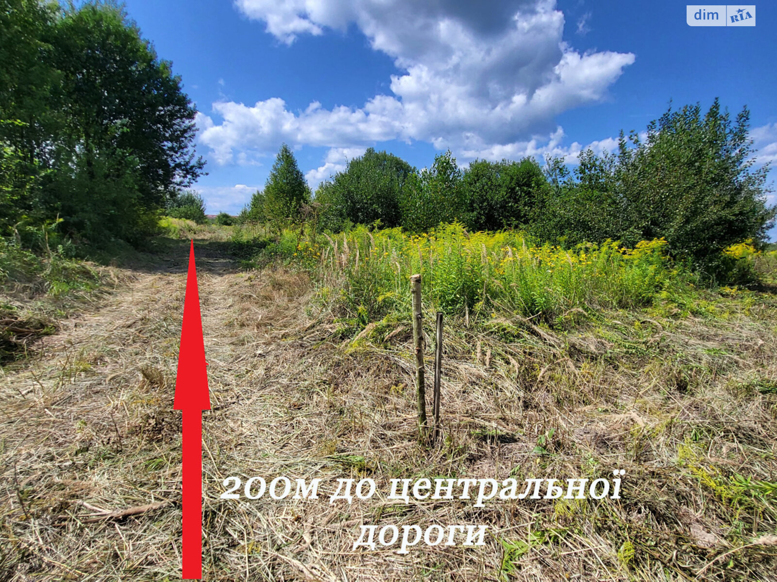 Земля сельскохозяйственного назначения в Богородчанах, район Богородчаны, площадь 10 соток фото 1 Земля сельскохозяйственного назначения в Богородчанах, район Богородчаны, площадь 10 соток фото 1