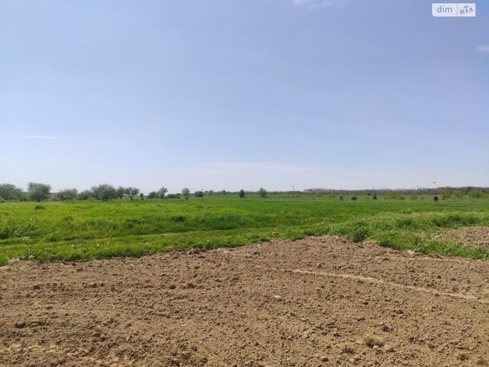 Земельный участок сельскохозяйственного назначения в Бохониках, площадь 19 соток фото 1