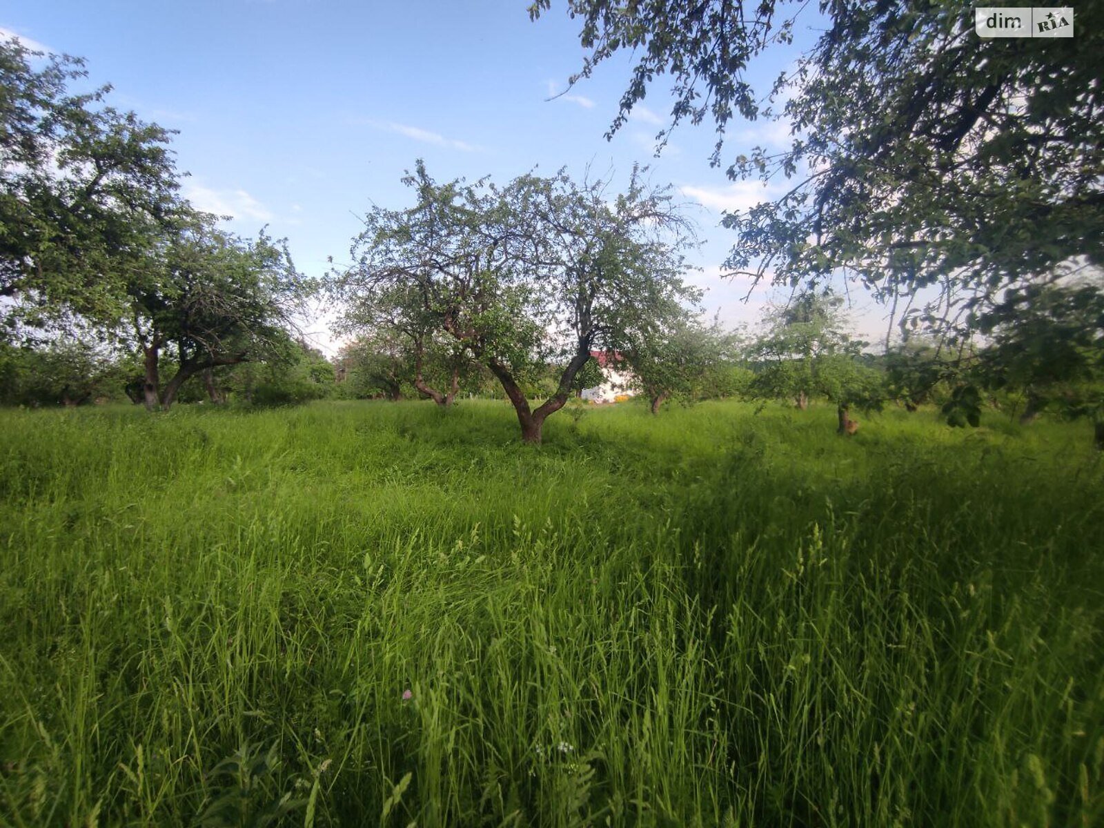 Земельный участок сельскохозяйственного назначения в Бохониках, площадь 6 соток фото 1