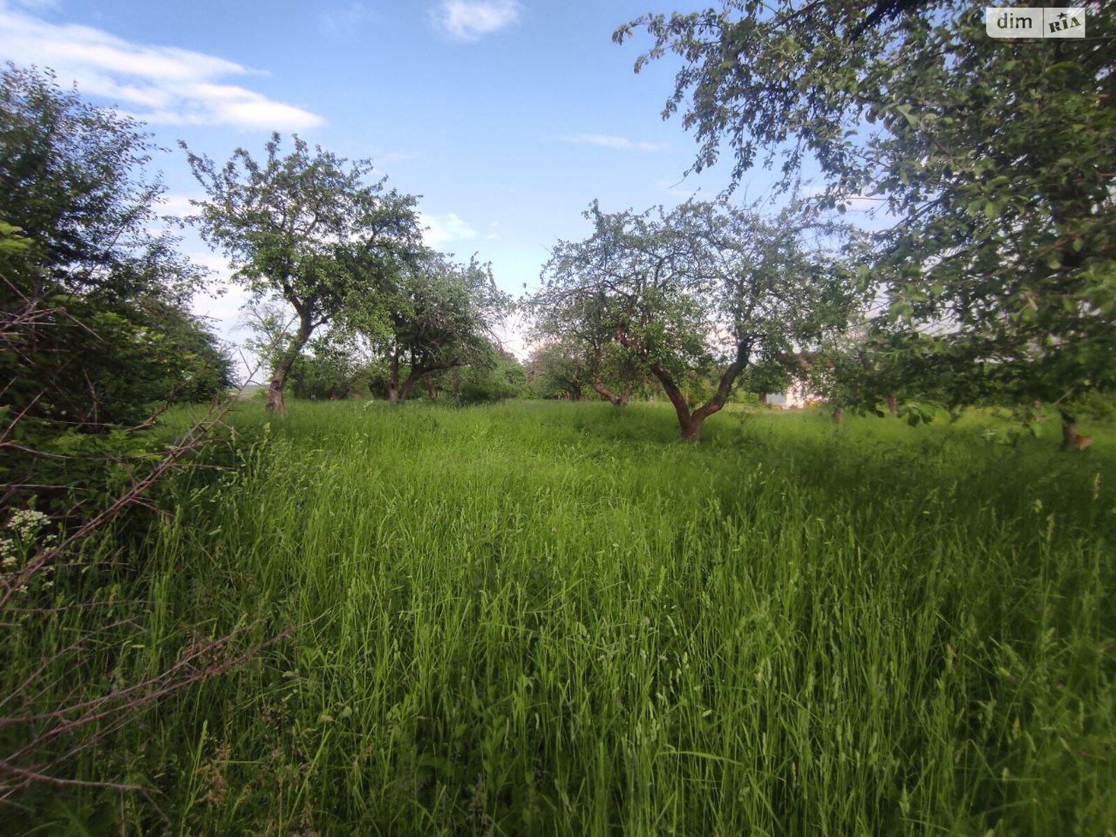 Земельный участок сельскохозяйственного назначения в Бохониках, площадь 6 соток фото 1