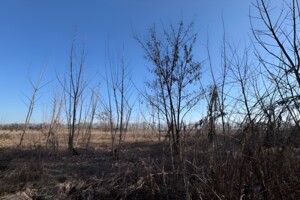 Земельна ділянка сільськогосподарського призначення в Бохониках, площа 8 соток фото 2