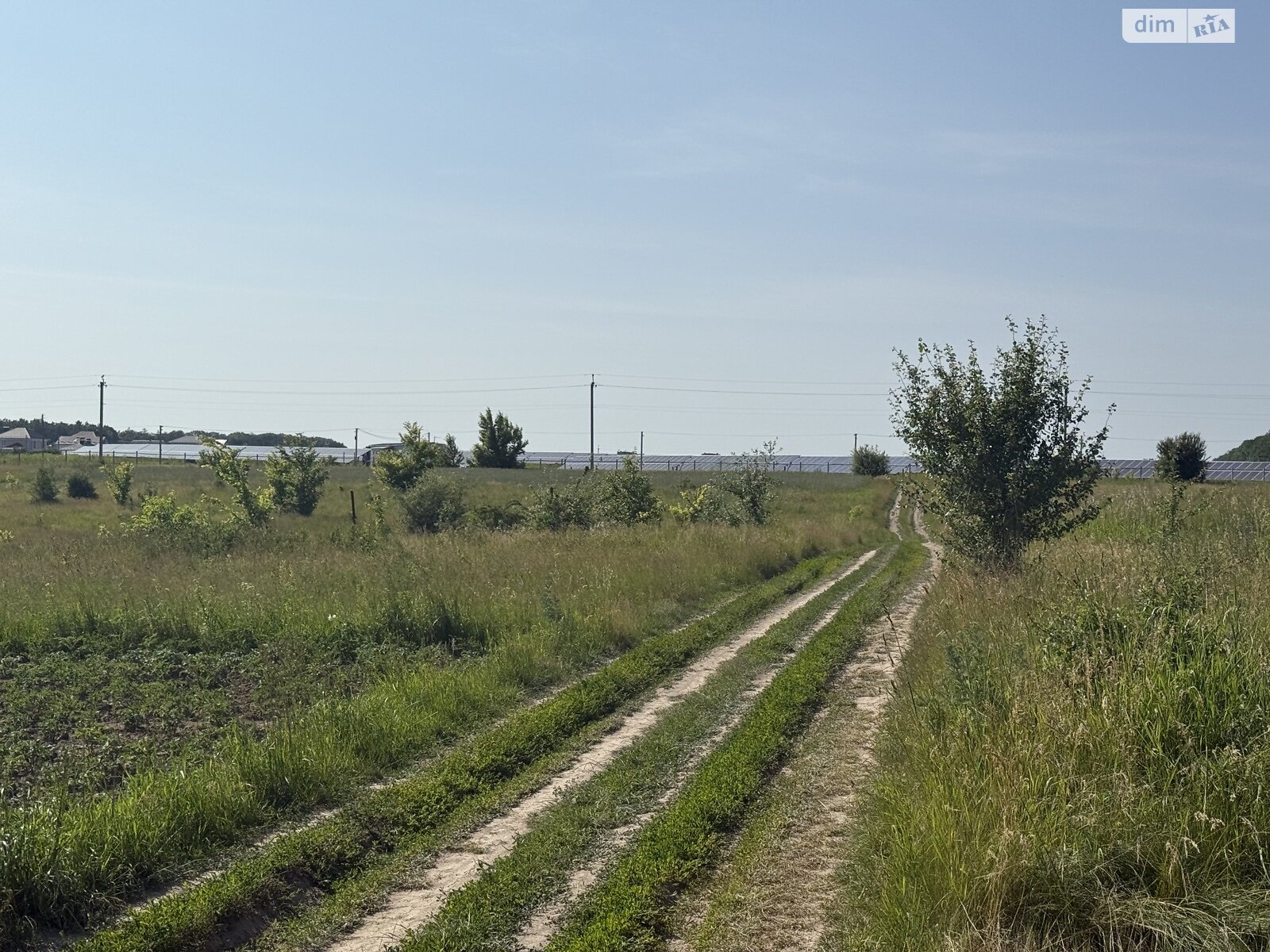 Земельна ділянка сільськогосподарського призначення в Бохониках, площа 15 соток фото 1 Земельна ділянка сільськогосподарського призначення в Бохониках, площа 15 соток фото 1