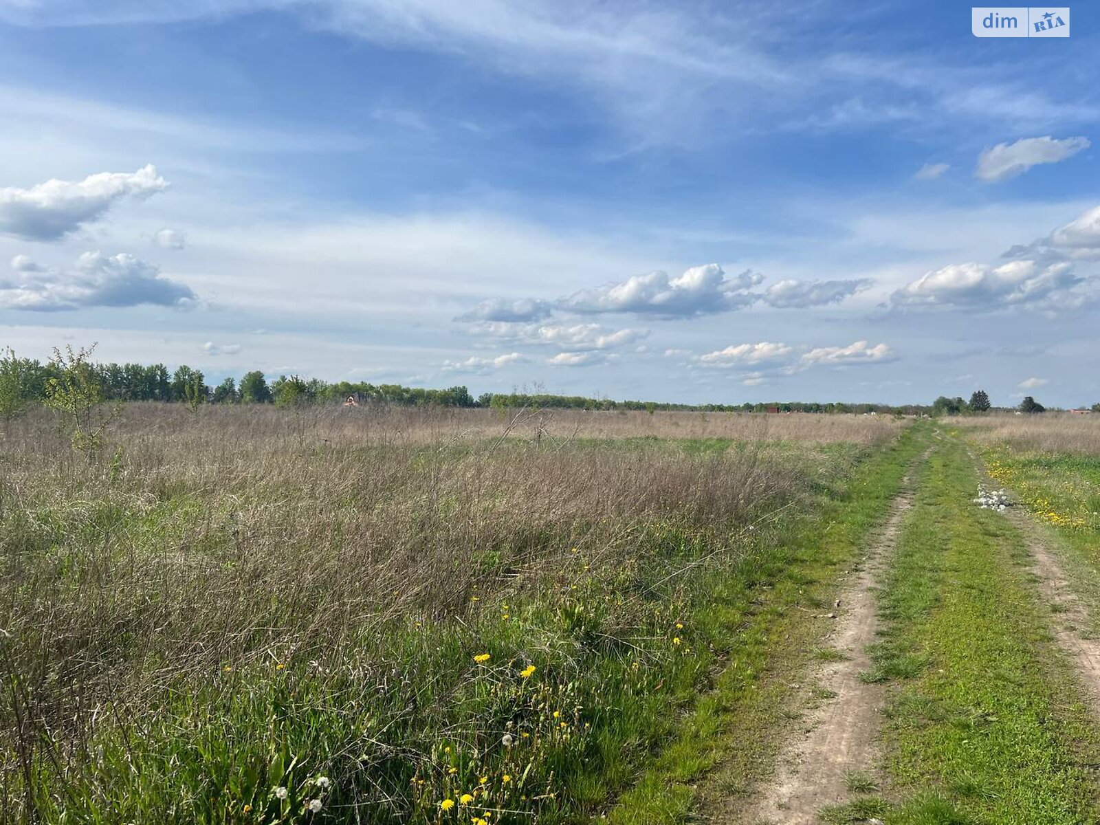 Земельна ділянка сільськогосподарського призначення в Бохониках, площа 8 соток фото 1 Земельна ділянка сільськогосподарського призначення в Бохониках, площа 8 соток фото 1