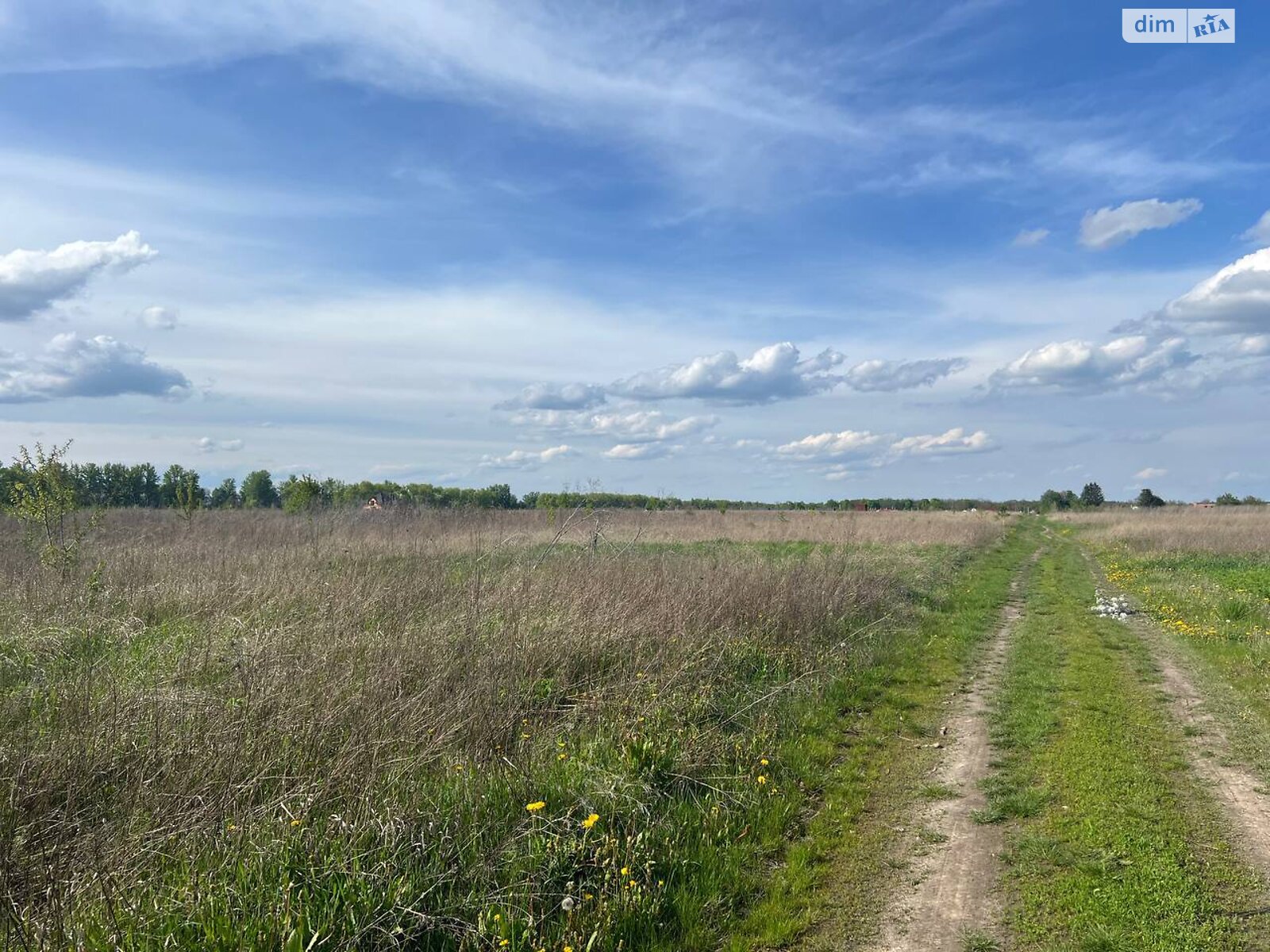 Земельна ділянка сільськогосподарського призначення в Бохониках, площа 8 соток фото 1 Земельна ділянка сільськогосподарського призначення в Бохониках, площа 8 соток фото 1