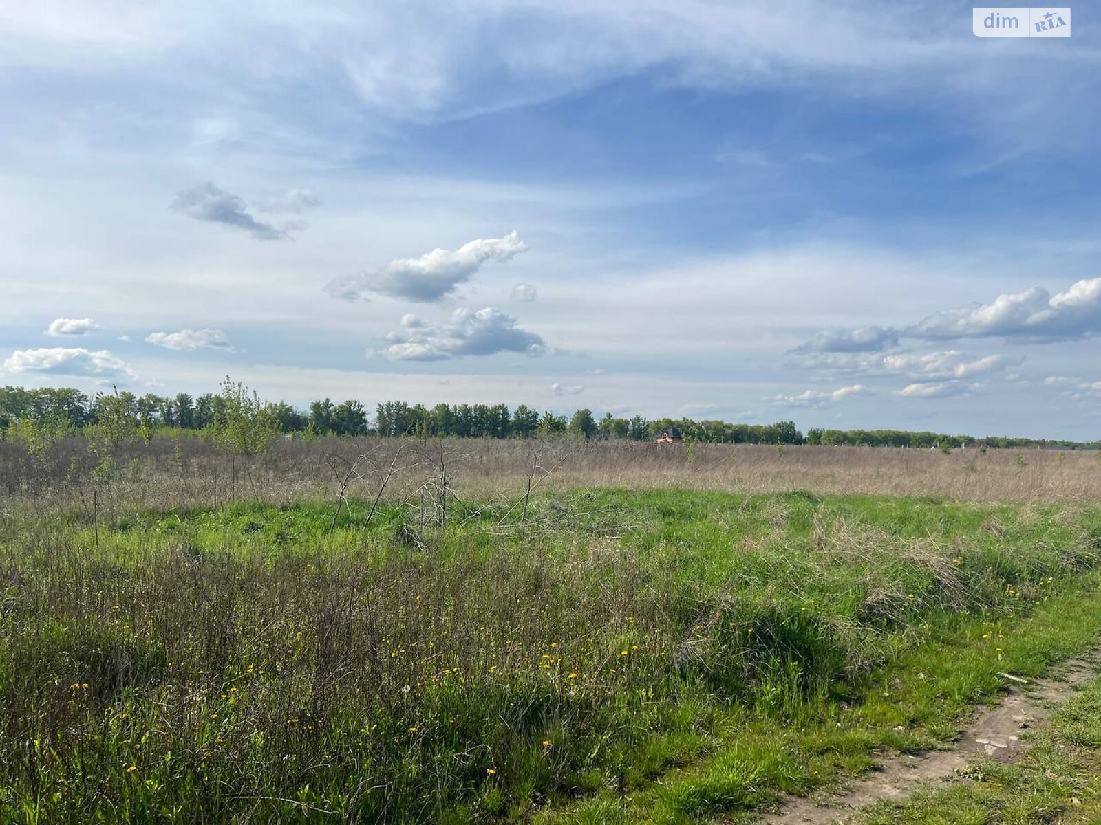 Земельна ділянка сільськогосподарського призначення в Бохониках, площа 8 соток фото 1 Земельна ділянка сільськогосподарського призначення в Бохониках, площа 8 соток фото 1
