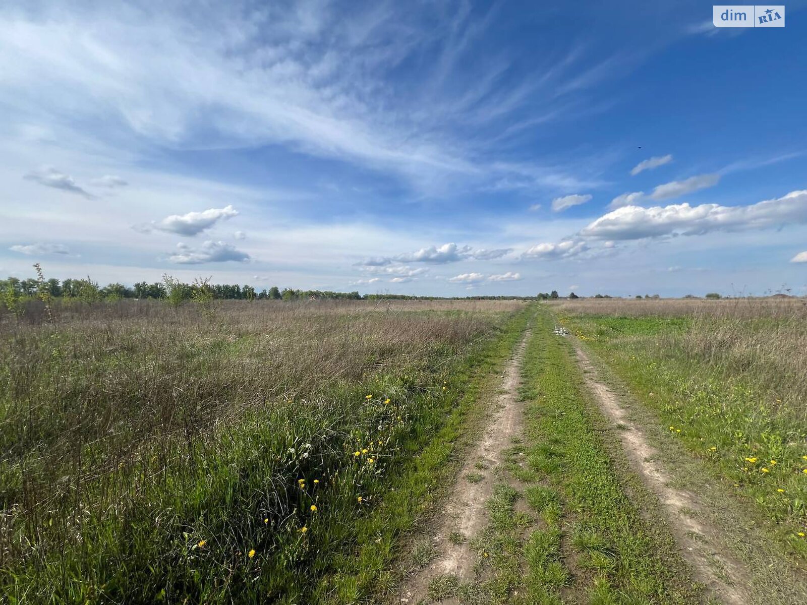 Земельна ділянка сільськогосподарського призначення в Бохониках, площа 8 соток фото 1 Земельна ділянка сільськогосподарського призначення в Бохониках, площа 8 соток фото 1